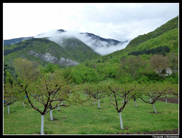 Monasterio de Bachkovo