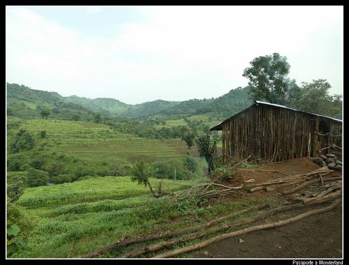 Camino a Axum