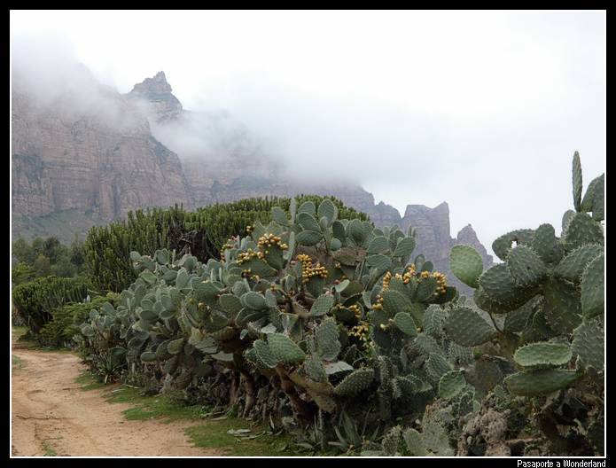 Monatañas Gheralta