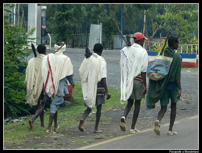 Camino a Gondar
