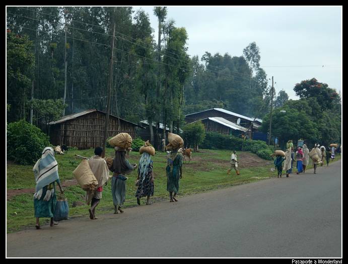 Camino a Gondar