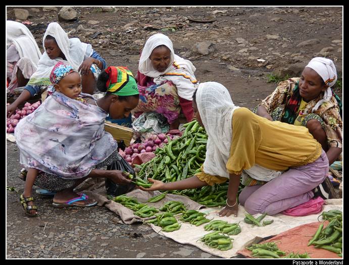 Camino a Gondar en Wereta