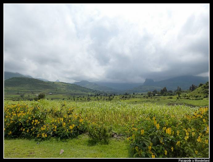 Camino a Gondar