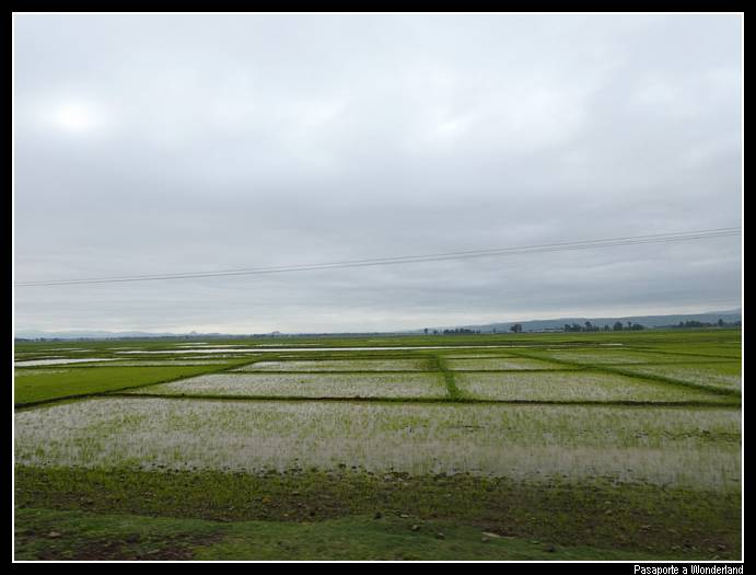 Camino a Gondar