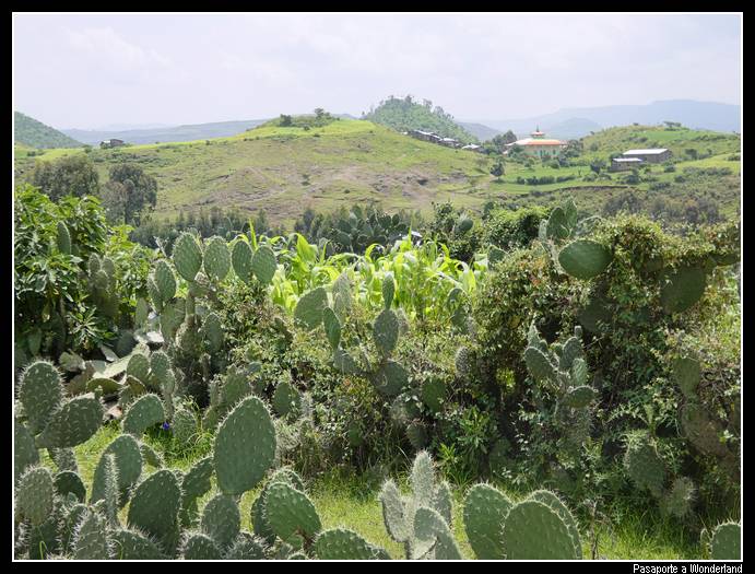 Camino a Gondar