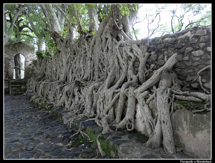 Baños de Fasilidas Gondar