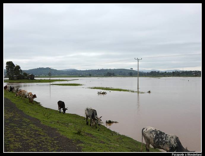 Camino a Gondar