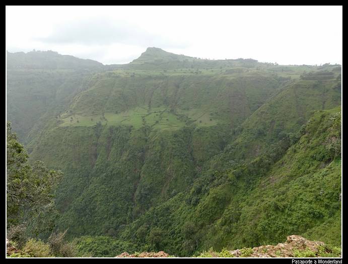 Trekking en Kossoye babuinos Gelada