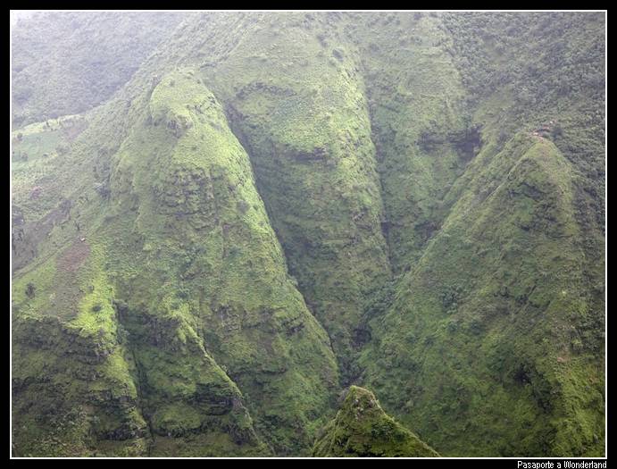 Trekking en Kossoye babuinos Gelada