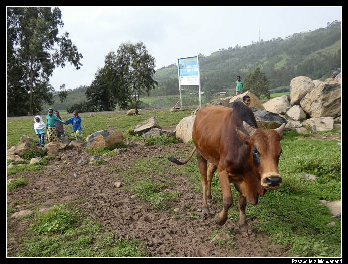 Trekking en Kossoye