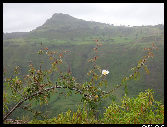 Trekking en Kossoye