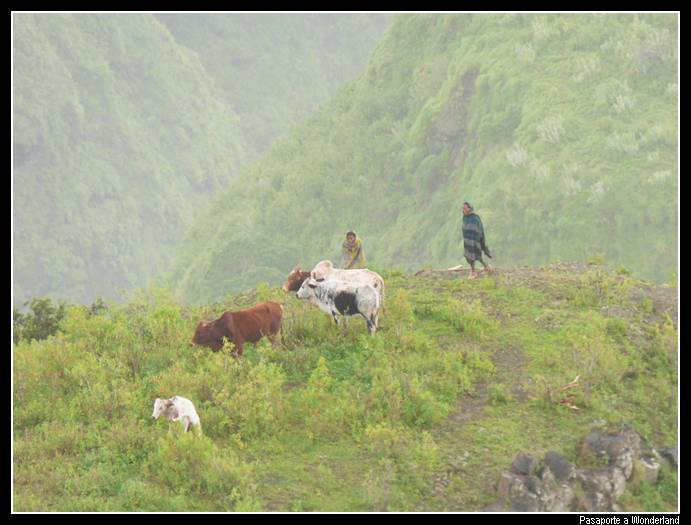 Trekking en Kossoye