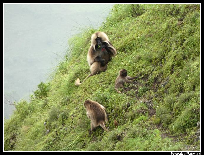 Trekking en Kossoye