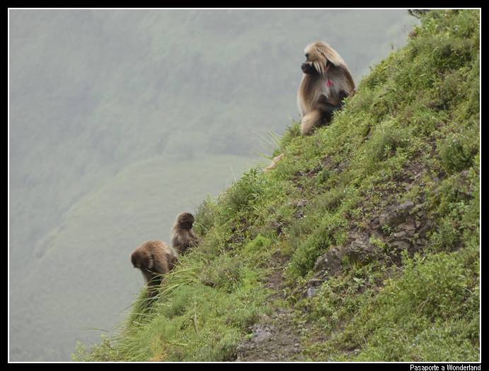 Trekking en Kossoye