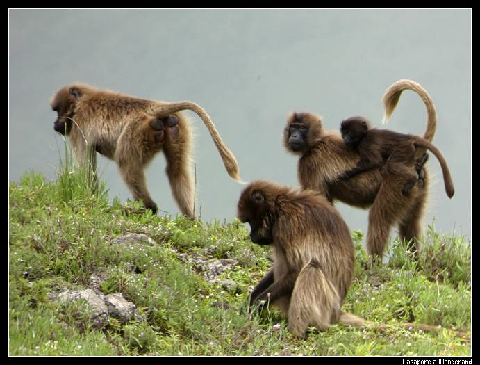 Trekking en Kossoye