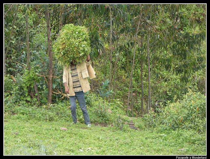 Trekking en Kossoye