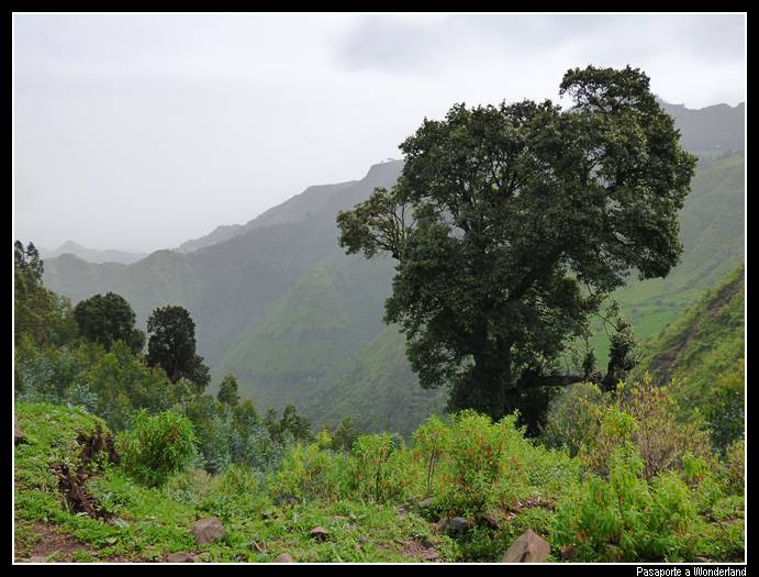 Trekking en Kossoye