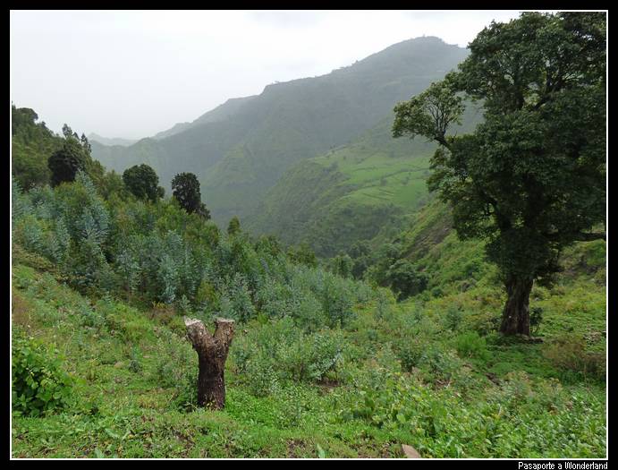Trekking en Kossoye