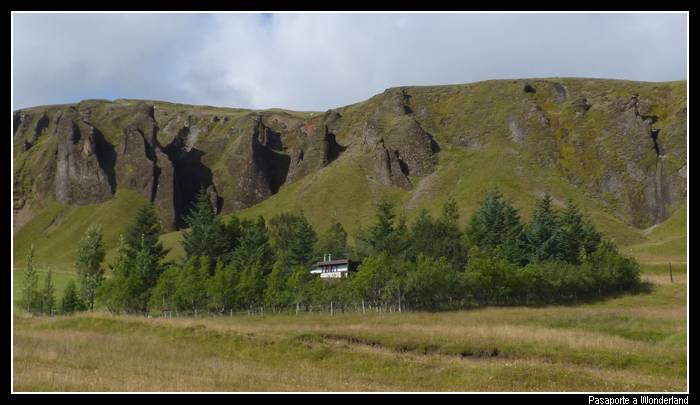 No hay arboles en Islandia